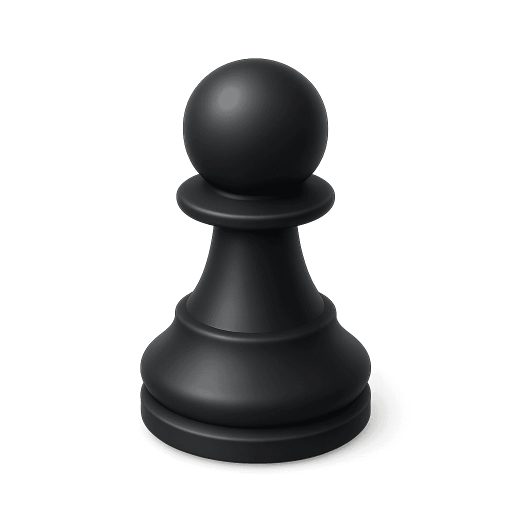 ภาพประกอบ 棋子