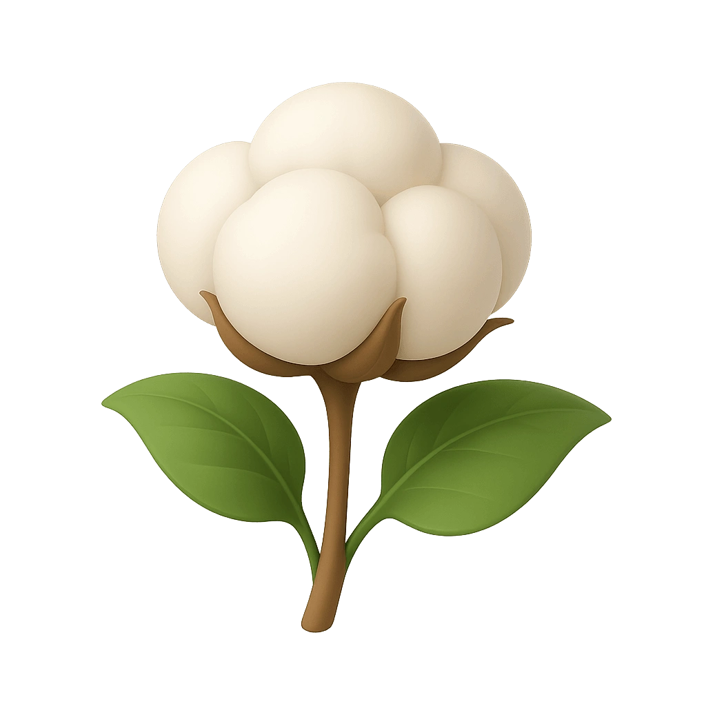 ภาพประกอบ 棉花